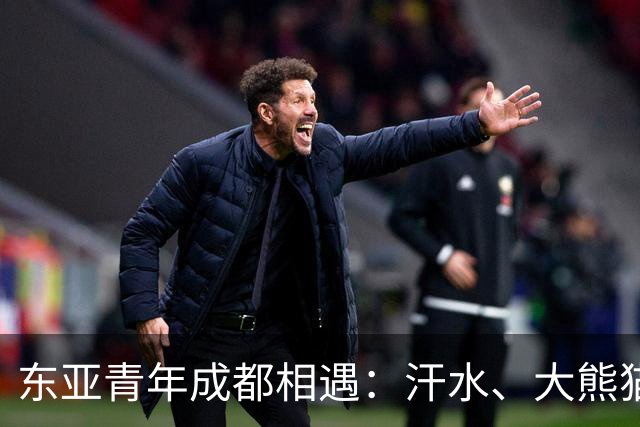东亚青年成都相遇：汗水、大熊猫与友谊